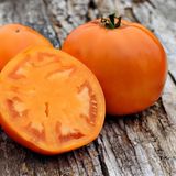Насіння томатів Хурма Садиба 0,1 г - купити | Good Harvest