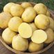Семена картофеля Лакомка Агромакси 0,01 г