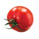 Насіння томату Санька Сонячний Март 100 шт