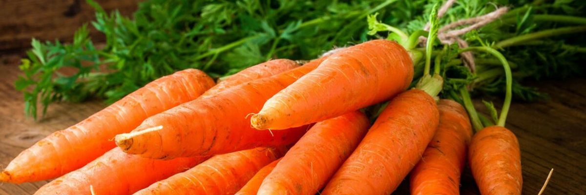 Як вирощувати моркву: від посіву насіння до висадки розсади