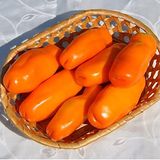 Насіння томатів Ерос 0,1 г - купити | Good Harvest