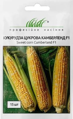 Семена кукурузы Камберленд F1 Clause 2 г 11.3296 фото