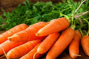 Как выращивать морковь: от посева семян до высадки рассады