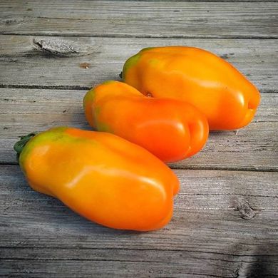 Насіння томатів Ерос 0,1 г 11.2780 фото