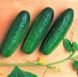 Семена огурцов Феникс 640 Gl Seeds 20 г