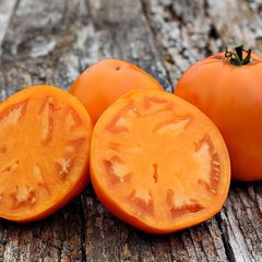 Насіння томатів Хурма Садиба 5 г 11.2152 фото