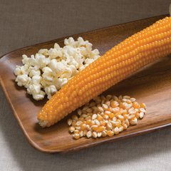 Семена кукурузы-попкорн Гостинец 20 г 11.2116 фото