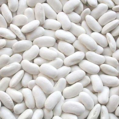 Семена фасоли на зерно Приусадебная кустовая 10 шт 11.0825 фото