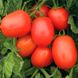 Семена томатов Рио Гранде 5 г