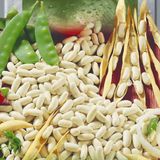 Насіння квасолі на зерно Еурека кущова Яскрава 20 г - купити | Good Harvest