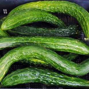 Насіння огірків Китайські змії Gl Seeds 0,5 г 11.1083 фото