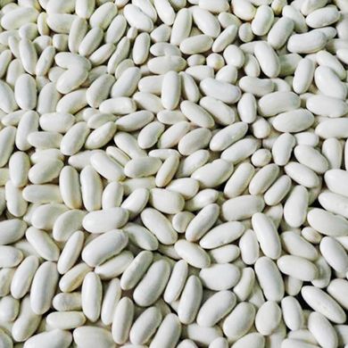 Семена фасоли на зерно Эурека кустовая Яскрава 20 г 11.1589 фото