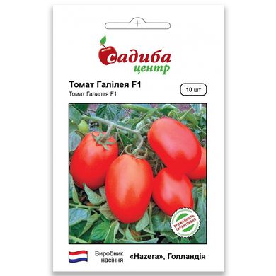 Семена томатов Галилея F1 Hazera Садыба Центр 8 шт 11.2482 фото
