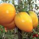 Насіння томатів Медовий спас 0,1 г