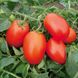 Насіння томатів Галілея F1 Hazera Садиба Центр 8 шт