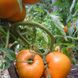 Семена томатов Медовый спас 0,1 г