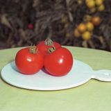 Насіння томатів Полфаст F1 Bejo Zaden 0,05 г - купити | Good Harvest