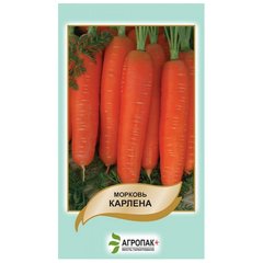 Насіння моркви Карлена Legutko APG 2 г 11.2295 фото