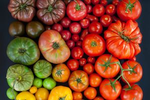 Как выращивать помидоры: от посева семян до высадки рассады