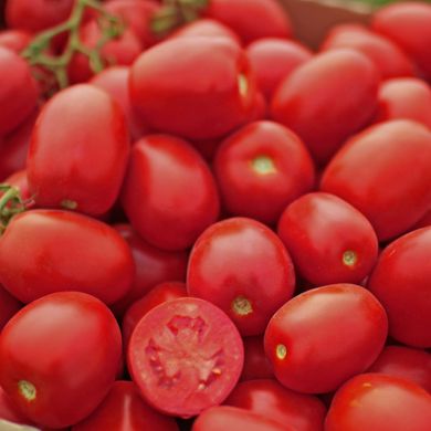 Насіння томатів П'єтро Росса F1 Clause Садиба Центр 20 шт 11.2485 фото