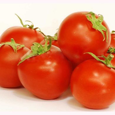 Насіння томатів Уно Россо F1 United Genetics 20 шт 11.1353 фото