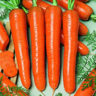 Насіння моркви Карлена Legutko APG 2 г 11.2295 фото