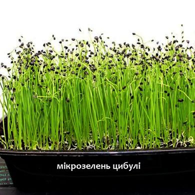 Мікс Смаку крес + гірчиця + цибуля набір для вирощування мікрозелені 19.0311 фото