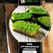 Микс Вкуса кресс+горчица+лук набор для выращивания микрозелени