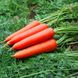 Насіння моркви Без серцевини Яскрава 10 г