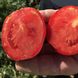 Насіння томатів Ріо Гранде Clause 0,5 г