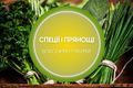 Робимо приправи своїми руками: секрети вирощування дізнатися більше