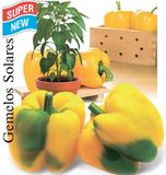 Семена сладкого перца Солнечные Близнецы С-Март 30 шт - купить | Good Harvest