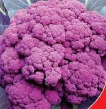 Семена капусты цветной Сицилия Виолетта 0,3 г - купить | Good Harvest