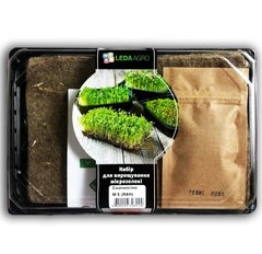 Смачніссімо редис + цибуля + салат набір для вирощування мікрозелені 19.0312 фото