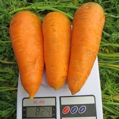 Насіння моркви Болтекс Clause Садиба-Центр 2 г