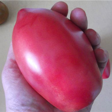 Семена томатов Розовый Фламинго Садыба 0,1 г 11.2063 фото