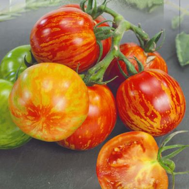 Насіння томатів Вернісаж червоний 0,1 г 11.2489 фото