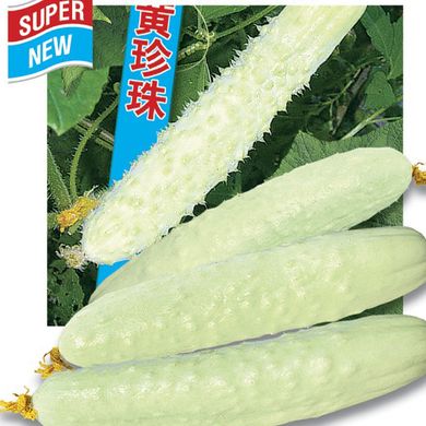 Семена огурцов Белый деликатес Пекина Солнечный март 10 шт 11.2862 фото