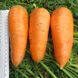 Насіння моркви Болтекс Clause Садиба 2 г