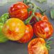 Насіння томатів Вернісаж червоний 0,1 г