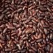 Семена фасоли на зерно Кофейное зернышко кустовая Яскрава 20 г