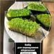 Смачниссимо редис+лук+салат набор для выращивания микрозелени