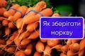 Як зберігати моркву до весни дізнатися більше