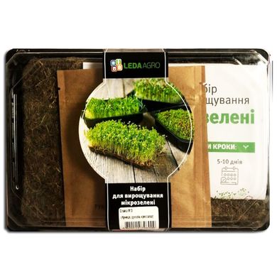 Спайси гірчиця + рукола + крес салат набір для вирощування мікрозелені 19.0313 фото