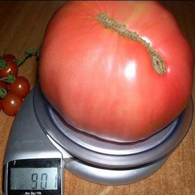 Семена томатов Чудо земли 0,1 г 11.1307 фото