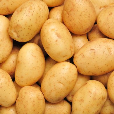 Насіння картоплі Ассоль 0,01 г 11.1024 фото