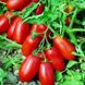 Насіння томатів Улісе F1 Syngenta Садиба 20 шт