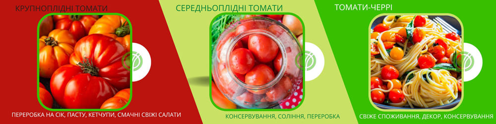 Насіння томатів купити
